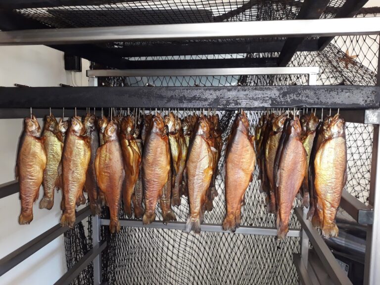 geräucherte_Forellen_aus_eigener_Räucherei_2025